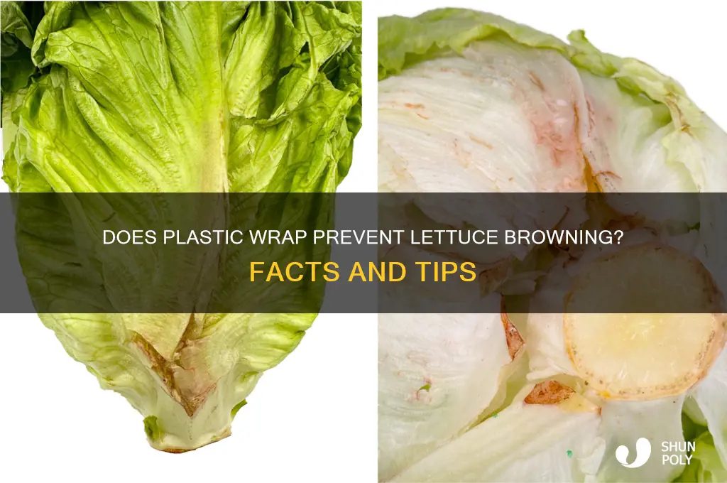 will lettuce get brown under plastic wrap