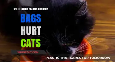 Can Cats Safely Lick Plastic Grocery Bags? Risks Explained