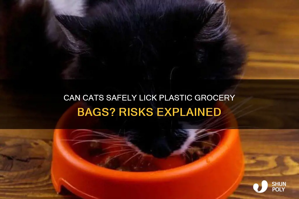 will licking plastic grocery bags hurt cats