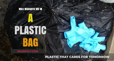 Do Maggots Survive in Plastic Bags? Uncovering the Truth