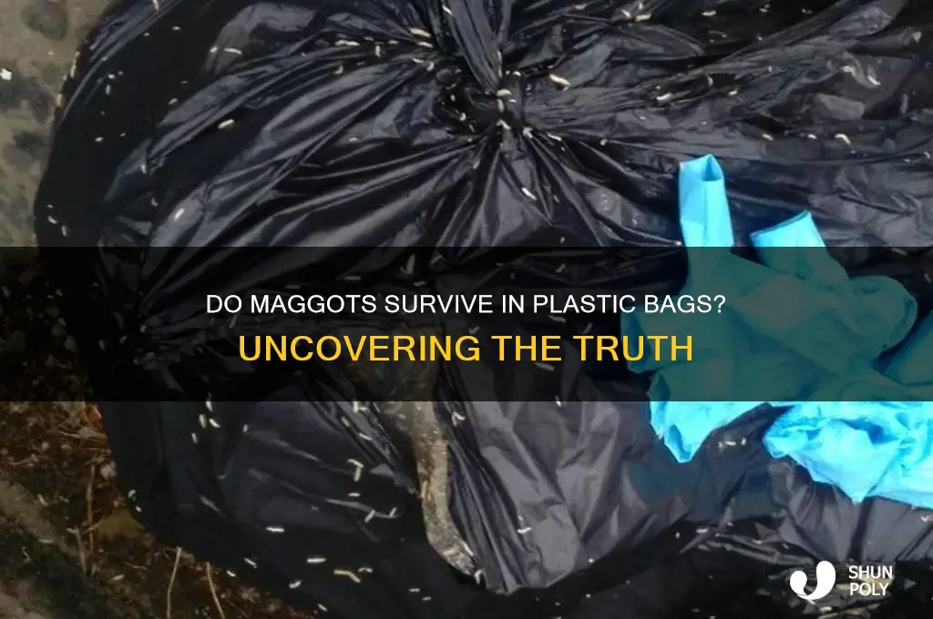 will maggots die in a plastic bag