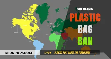 Maine's Plastic Bag Ban: What It Means for Residents and Businesses