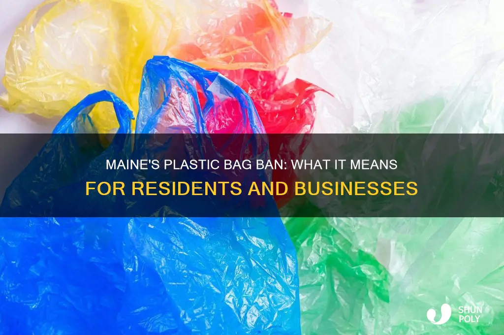 will maine be plastic bag ban
