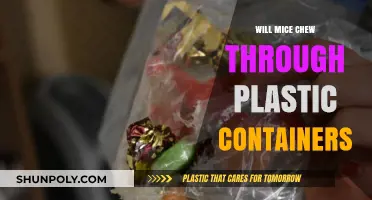 Plastic Containers: Safe from Mice Chewing?