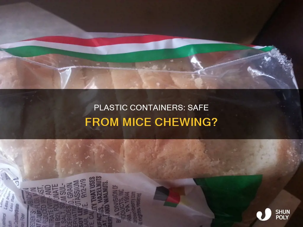 will mice chew through plastic containers
