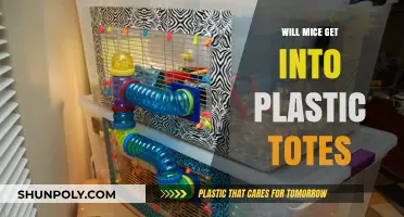 Can Mice Chew Through Plastic Totes? Protecting Your Storage