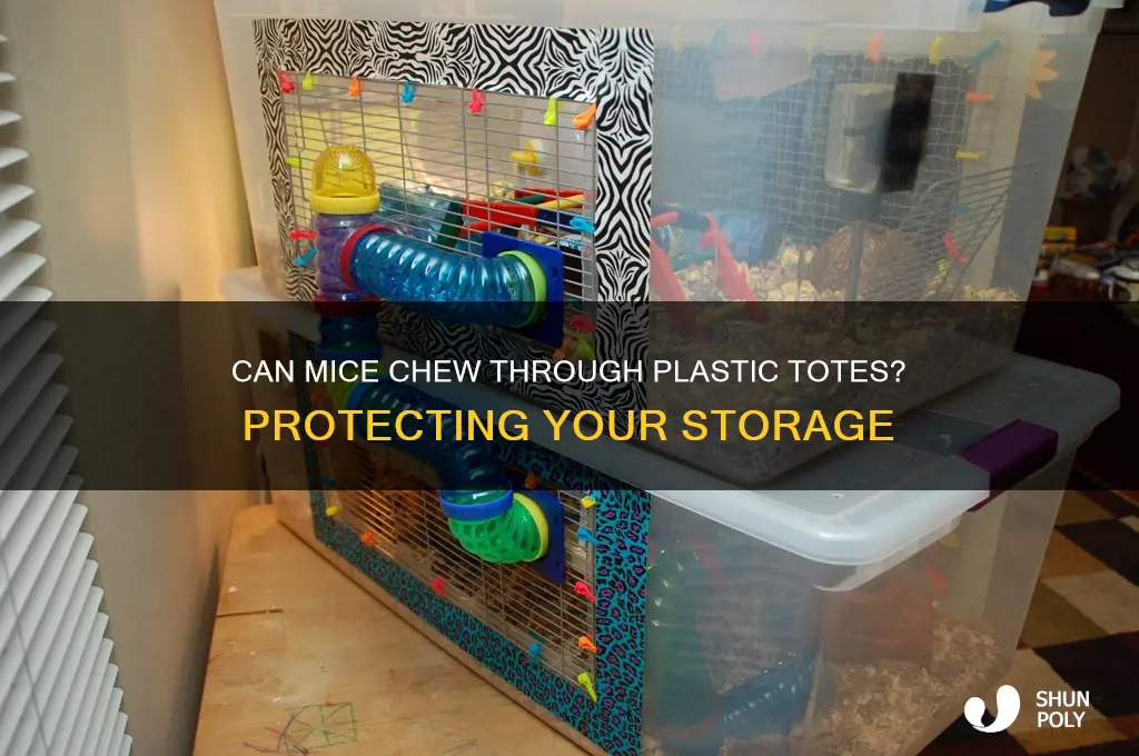 will mice get into plastic totes