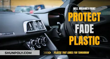 Maguire's Paint Protect: Will It Fade Plastic?