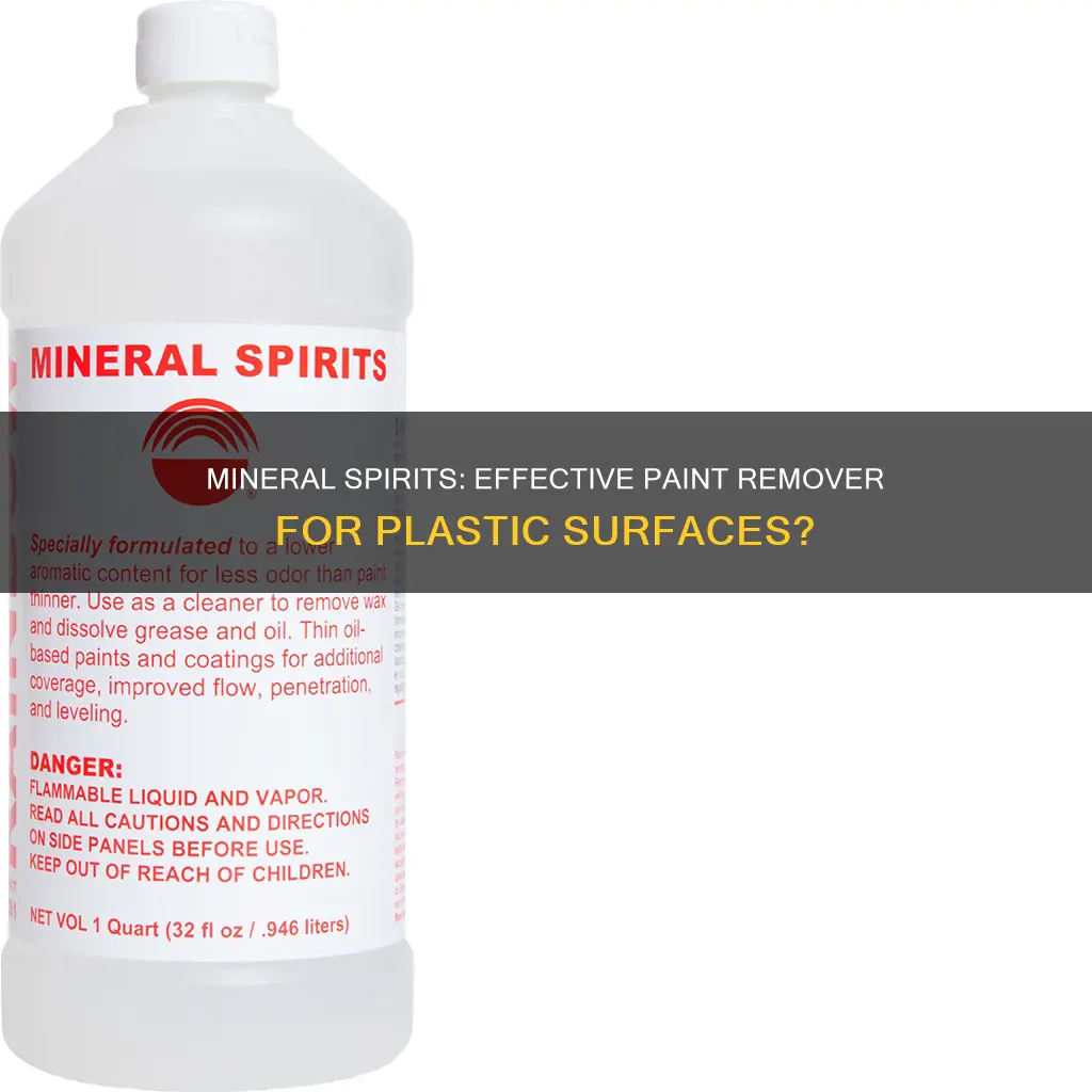 will mineral spirits remive paint from plastic