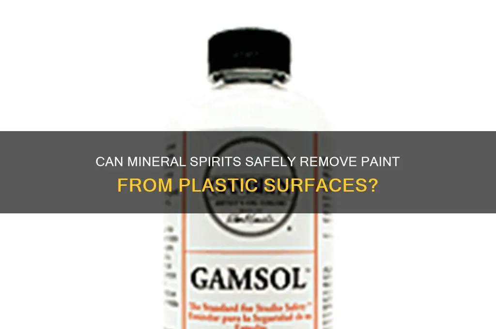 will mineral spirits remove paint from plastic