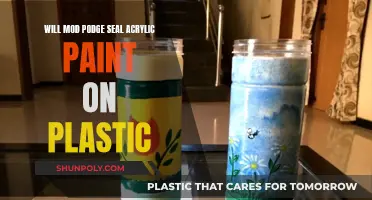 Mod Podge Seal Acrylic Paint on Plastic: A Guide