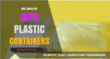 Plastic Containers: Mold-Proof or Not?