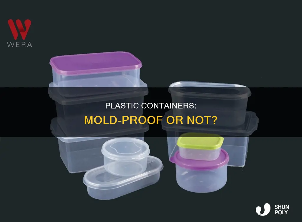 will mold get into plastic containers