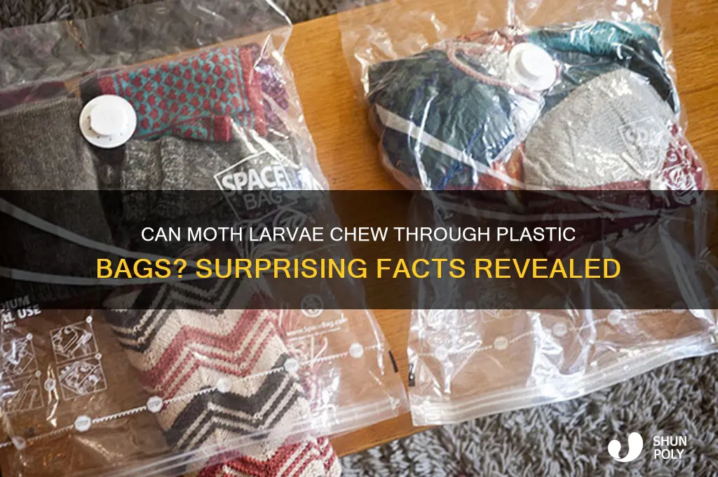 will mtoh larvae eat through plastic bag