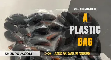Can Mussels Survive in Plastic Bags? Shocking Truth Revealed