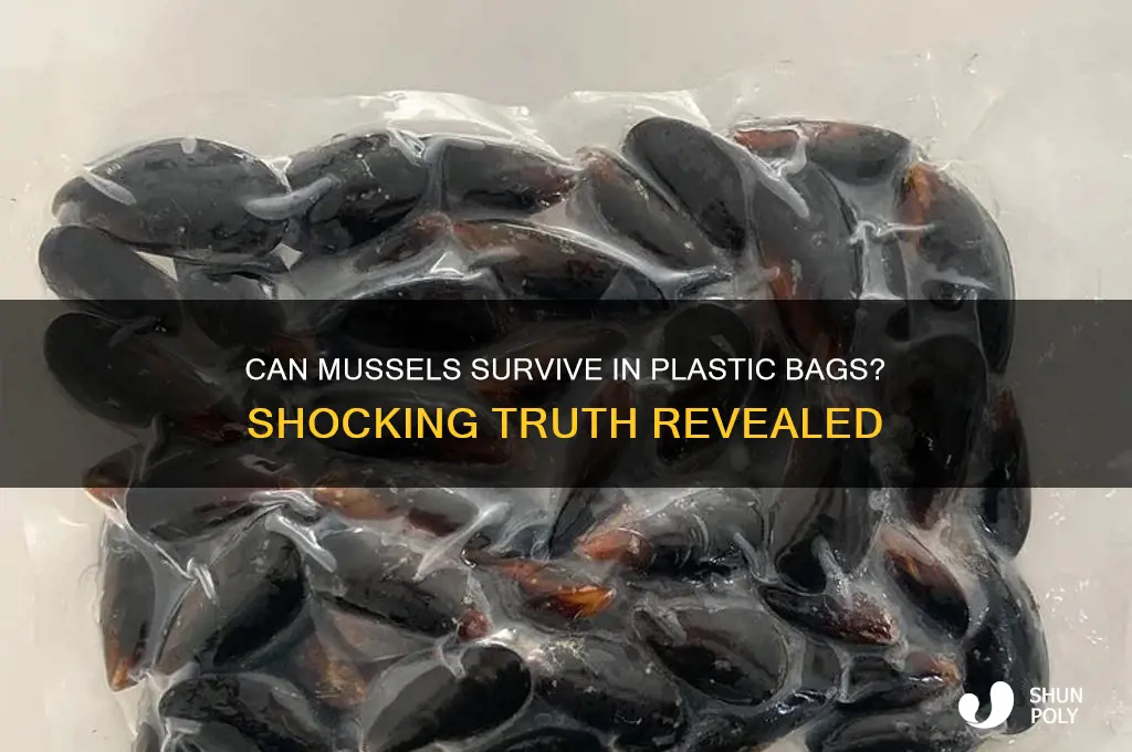 will mussels die in a plastic bag