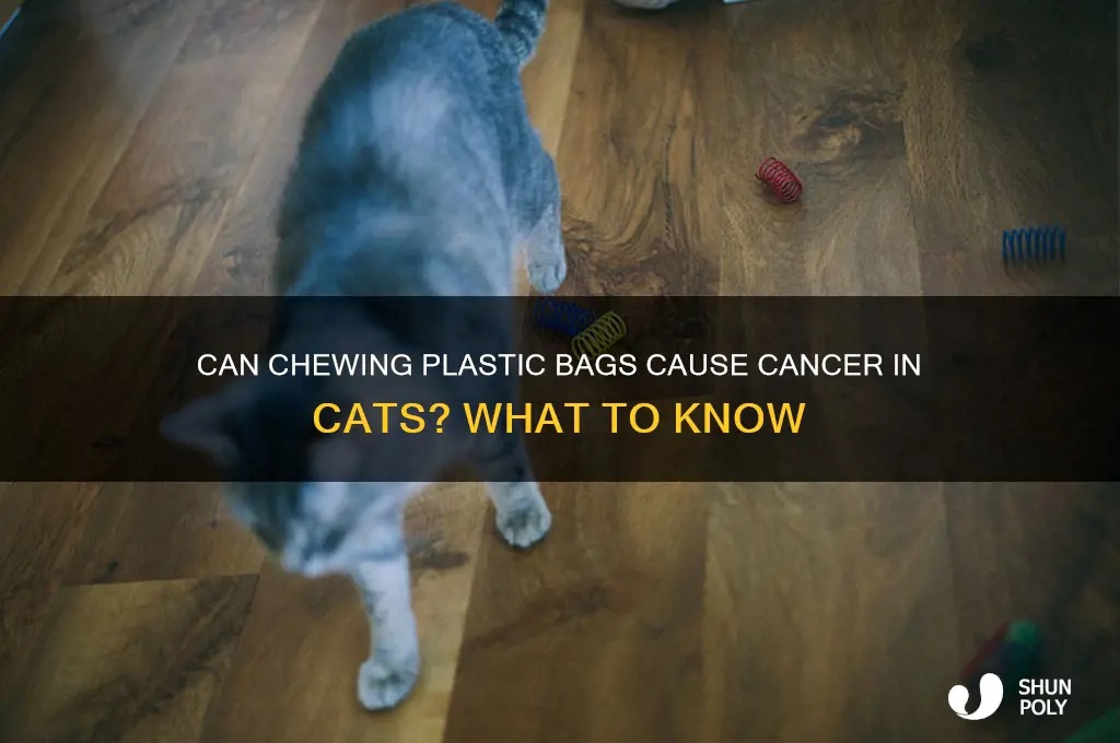 will my cat get cancer from chewinf plastic bags