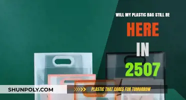 Plastic's Eternal Legacy: Will Your Bag Outlive the Next Millennium?