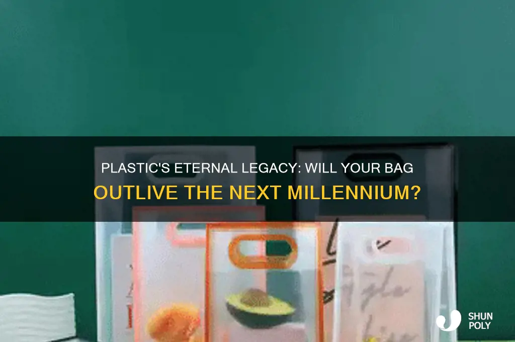 will my plastic bag still be here in 2507