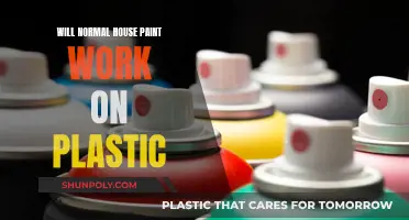 Painting Plastic with House Paint: Will It Work?
