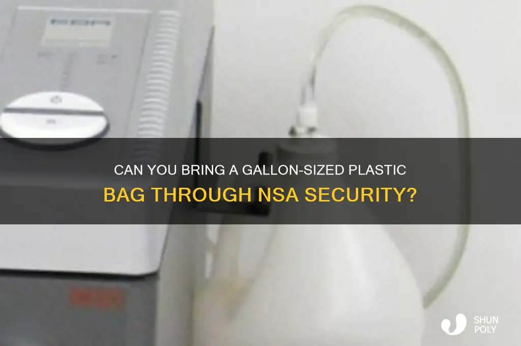 will nsa allow a gallon size plastic bag