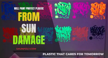 Does Paint Protect Plastic From Sun Damage?