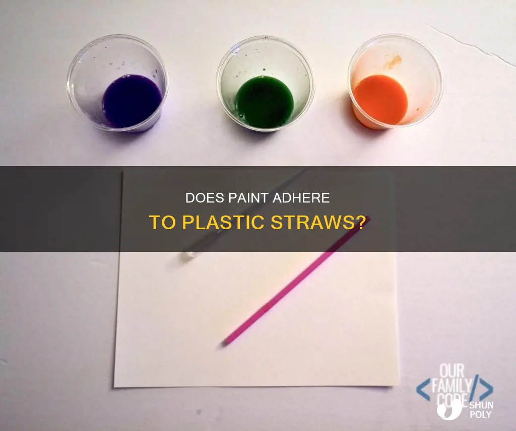 will paint stick to a plastic straw