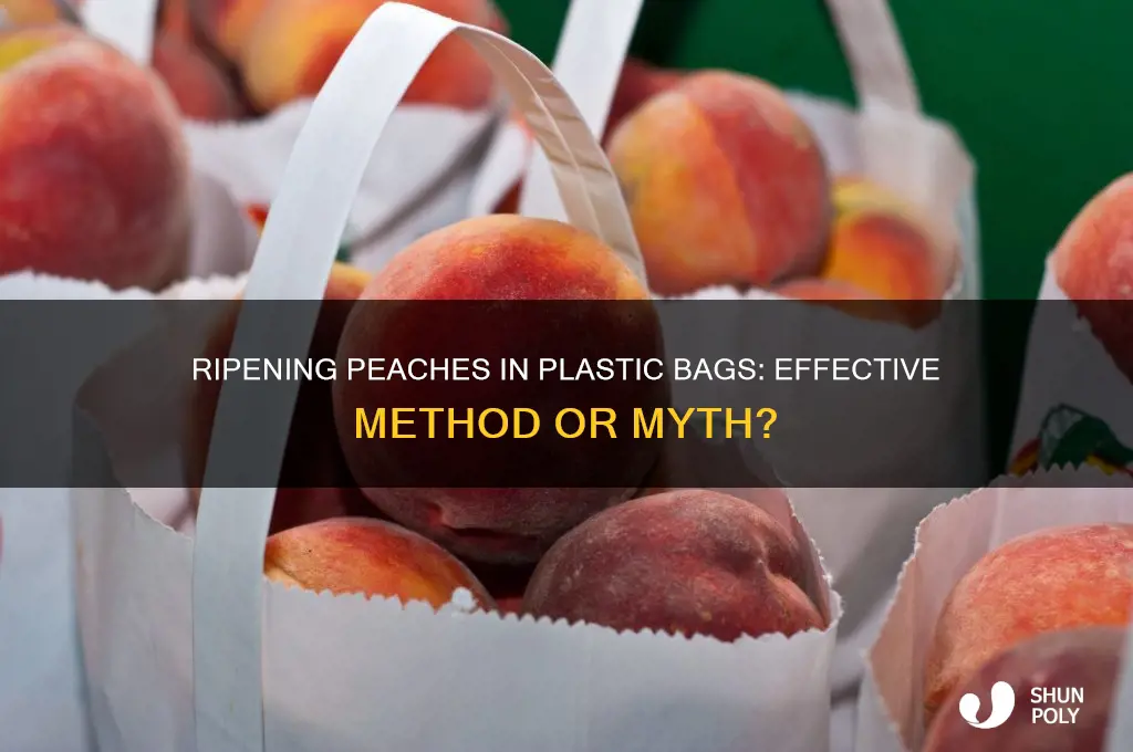 will peaches ripen in a plastic bag