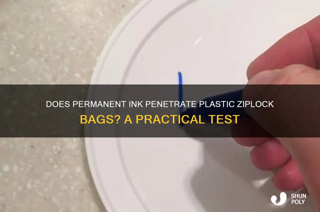 will permanent ink go through plastic ziplock bag