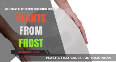 Plastic Planters: Frost Protection for Potted Plants?
