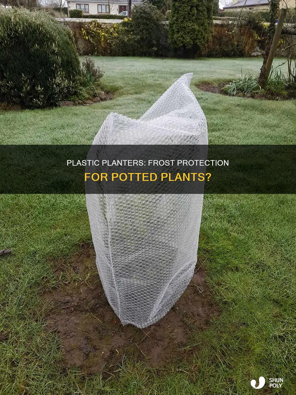 will plant plastic pant containers protect plants from frost