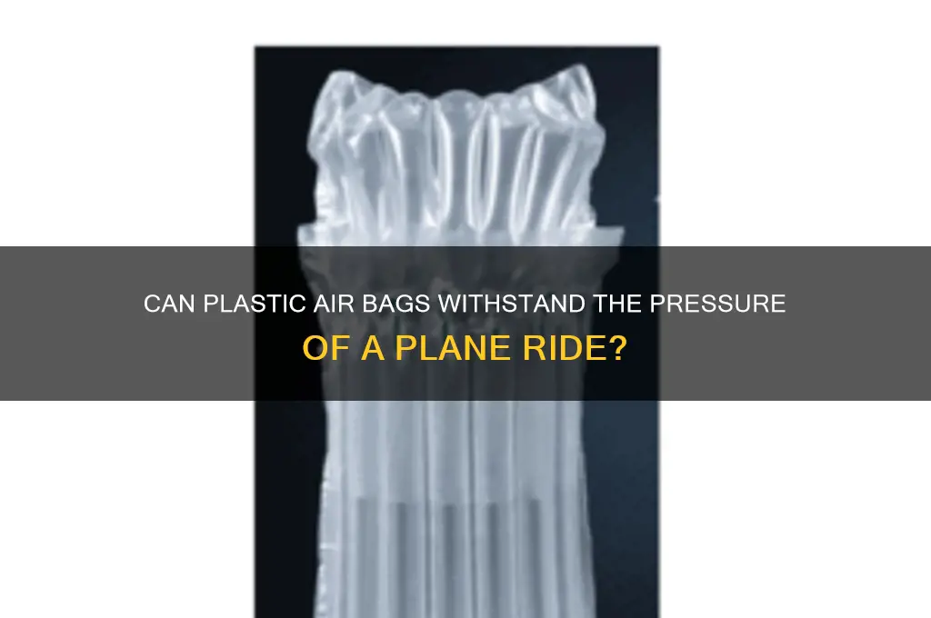 will plastic air bags survive plane ride