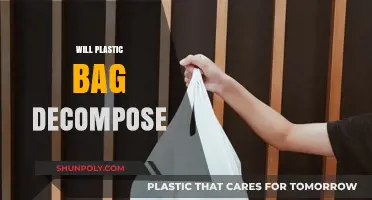 Will Plastic Bags Ever Decompose? Exploring Their Environmental Impact