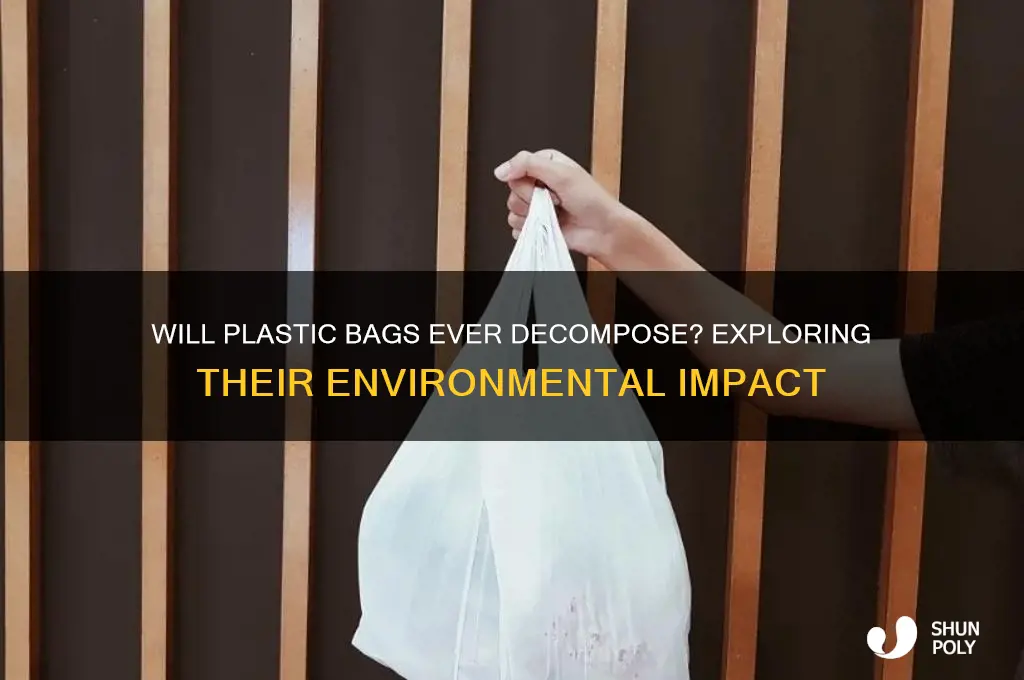 will plastic bag decompose