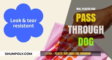 Can Plastic Bags Pass Through Dogs? Risks and What to Do