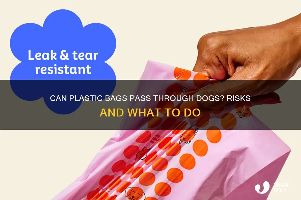 will plastic bag pass through dog