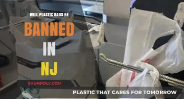 NJ Plastic Bag Ban: What’s Next for Garden State Shoppers?