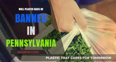 Pennsylvania's Plastic Bag Ban: What's Next for the Keystone State?