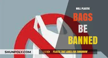 Will Plastic Bags Be Banned? Environmental Impact and Policy Shifts