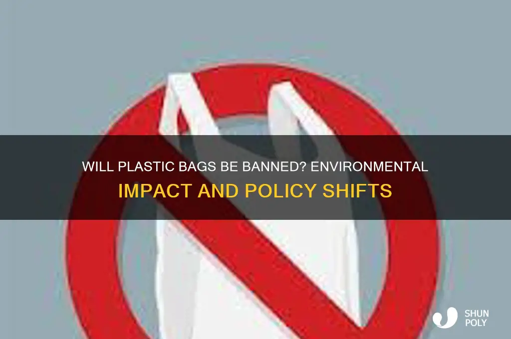 Will Plastic Bags Be Banned? Environmental Impact And Policy Shifts