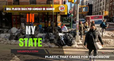 NY State's Plastic Bag Ban: Will Garbage Bags Be Next?