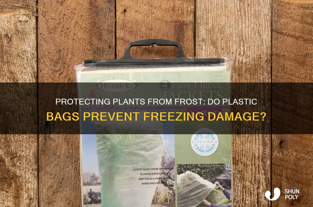 will plastic bags keep plants from freezing