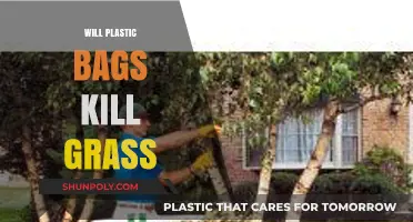Can Plastic Bags Smother Grass? Debunking Lawn Care Myths