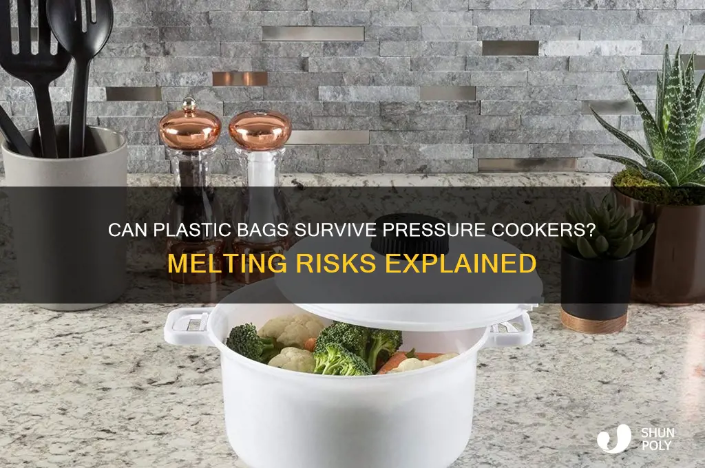 will plastic bags melt in a pressure cooker