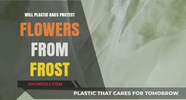 Can Plastic Bags Shield Flowers from Frost Damage?