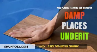 Can Plastic Flooring Handle Moisture in Damp Environments?