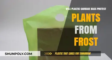 Can Plastic Garbage Bags Shield Plants from Frost Damage?