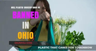Ohio's Plastic Bag Ban: What's Next for Grocery Shoppers?