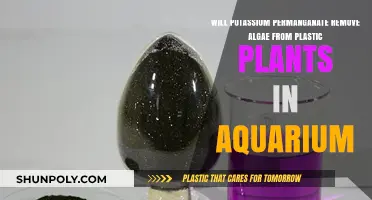Potassium Permanganate: Effective Algae Remover for Aquarium Plastic Plants?