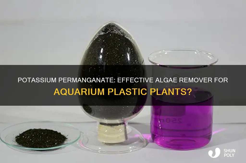 will potassium permanganate remove algae from plastic plants in aquarium